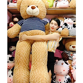 Gấu Bông Teddy Áo Thun Cao Cấp Giá Sốc 1m8 Ảnh Shop Chụp