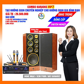 Mua Dàn karaoke gia đình loa C15pro giá 26 5 triệu - Hàng chính hãng