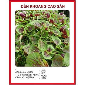 Combo 2 gói  hạt giống rau dền khoang dể trồng f1 -gói 10 gram-tặng kèm gói phân bón lót