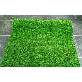 cỏ nhân tạo cao cấp loại cỏ cao 2cm - 5m2 
