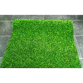 Mua cỏ nhân tạo cao cấp loại cỏ cao 2cm - 5m2