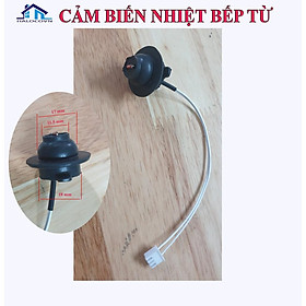 Mua Dây cảm biến nhiệt bếp từ loại tốt