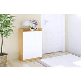 Tủ Giày Gỗ Thông Minh Tiết Kiệm Không Gian, Tủ Đựng Giày Gỗ Đa Năng Rộng Rãi Thiết Kế Cánh Cửa Mở TG-16