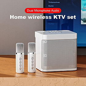 100W chuyên nghiệp Karaoke micrô kép loa bluetooth không dây stereo không dây stereo subwateo hỗ trợ gia đình karaoke hỗ trợ Color: White