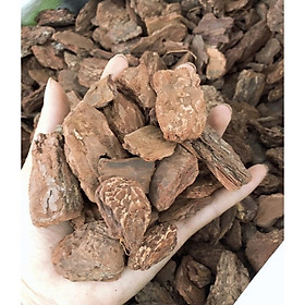 Mua Vỏ Thông Trồng Lan Cao Cấp Cỡ 2-5cm  Đã Xử Lý 1Kg/ Hồng Thanh Garden