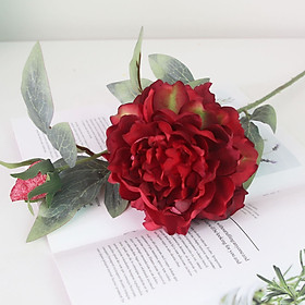 Mua Hoa mẫu Đơn Size lớn Giả 1 bông 1 nụ HL043