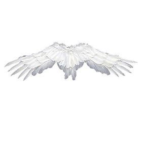 Fairy Wings Cosplay Accessories Wedding Fancy Dress Birthday Decoration