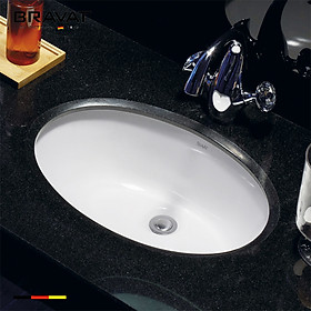 Mua Chậu rửa âm bàn cao cấp Bravat C22102W-ENG
