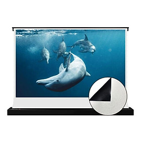 Mua Màn chiếu điện để sàn VIVIDSTORM S White Cinema VSDSTW120H 120 inch 16:9 hàng chính hãng - ZAMACO AUDIO