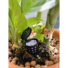 Rọ đựng phân tan chậm set 10 cái
