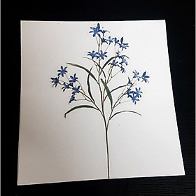 Thiệp phong cách Vintage card quà cám ơn ,chúc mừng sinh nhật và giử tặng người yêu.