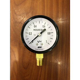 Dụng cụ đo áp suất P110-60A - dãy đo Kgf/cm2