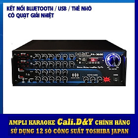 Amply Bluetooth Ampli Karaoke Gia đình 12 sò lớn Cali.D&Y PA-3600 - Hàng chính hãng