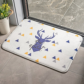 Thảm chùi chân siêu thấm nước kích thước 60x40 cm - Hàng nhập khẩu