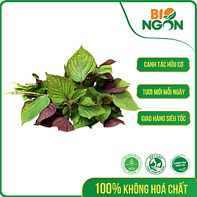 [Chỉ Giao HCM] - Tía Tô Hữu Cơ (Gói 100g)