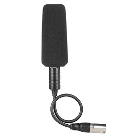 Video Recorded Interview Photography Stereo Capacitor One-Way Microphone Microphone Sony Panosonic Camcorder -Xlr Interface