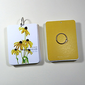 Giấy vẽ màu nước Postcard 40 tờ khổ (9 x 12) cm - Màu vàng