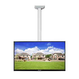Mua Giá treo Tivi thả trần hai màn hình NB T5520 nhập khẩu