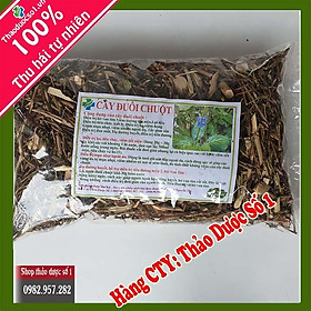 Đuôi chuột   hở van tim, tiểu đường-1Kg SP CTY Thảo Dược Số 1