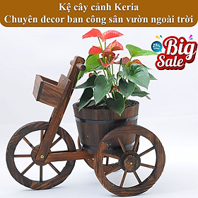 Kệ gỗ sân vườn trồng cây ngoài trời có bánh xe thiết kế kiểu dáng xe đạp vintage có chậu gỗ trồng hoa cây cảnh đẹp mắt - Kệ gỗ Keria KG05