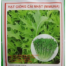 Hạt giống rau cải xanh Nhật Bản CT503 - Gói 10gram