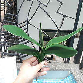 Mua 1 Nhánh Lá Lan Hồ Điệp Phấn Gồm 5 Lá Giả Trang Trí
