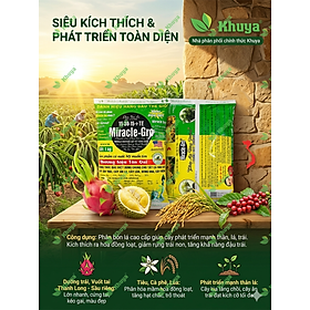 Mua Phân bón lá Miracle Gro 15-30-15+TE gói 1kg chính hiệu Tân Qui