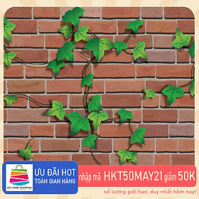 Mua 10M Giấy dán tường Dây leo WP0044