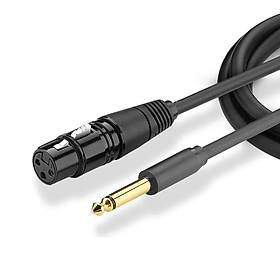 Mua Cáp âm thanh audio 6.5Mm đực ra Cannon cái 1M màu đen UGREEN 20717Av131 Hàng chính hãng