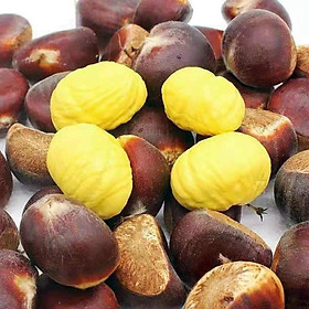 Mua 5kg Hạt Dẻ Tươi Sa Pa(tươi ngon bở bùi)