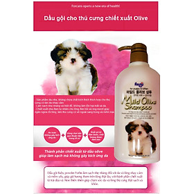 Sữa tắm cho chó mèo con chiết xuất Olive - FORCANS Hàn Quốc 750ML