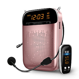 Mua Máy Trợ Giảng Không Dây SOAIY S-588 FM - Hàng Nhập Khẩu AZONE