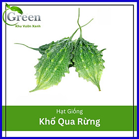 Hạt Giống Khổ Qua Rừng Chọn Lọc Tự Nhiên