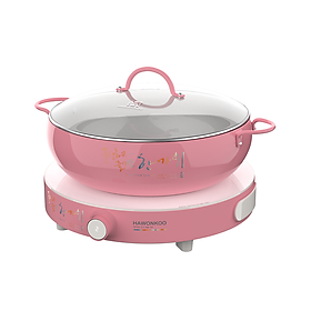 Mua Bếp từ đơn Hawonkoo CEH-101-I-PK - Hàng Chính Hãng