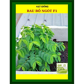 Mua HẠT GIỐNG RAU BỒ NGÓT DỄ TRỒNG 1 GRAM