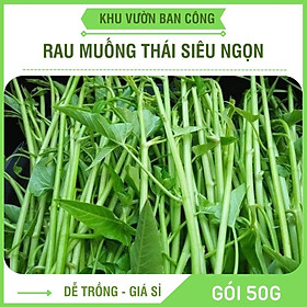 Mua Hạt Giống Rau Muống Thái Lan Siêu Ngọn Cao Sản Gói 5000 Hạt - Khu Vườn Ban Công