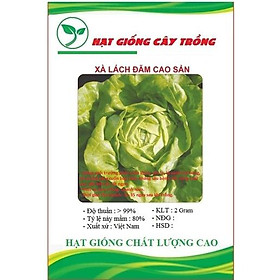 Hạt giống rau xà lách đăm xanh cao sản CT101 - Gói 2gram