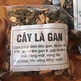 Mua Cây lá gan chữa bệnh 1kg