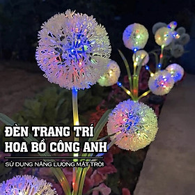 Đèn năng lượng mặt trời trang trí sân vườn hình hoa bồ công anh