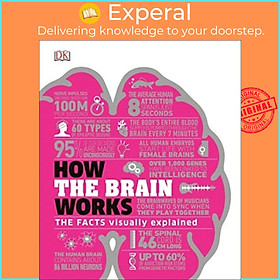 Sách - How the Brain Works : The Facts Visually Explained by DK (UK edition, hardcover)