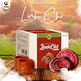 Trà Thảo Mộc Linh Chi - Bảo Long - Hàng Chính Hãng