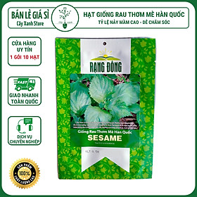 Mua Hạt Giống Rau Thơm Mè (Lá Mè Vừng) Hàn Quốc - Trồng Hạt Giống Rau Củ Quả Bằng Đất Sạch  Xơ Dừa  Phân Bón Hữu Cơ