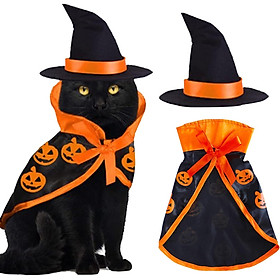 Trang phục mèo Halloween Trang phục thú cưng quần áo phù thủy Cosplay chỉ dành cho mèo