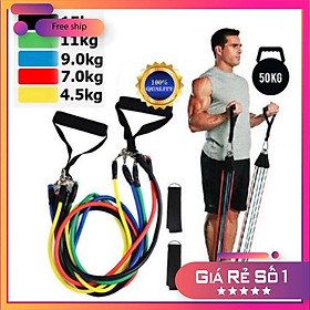 Dây ngũ sắc tập gym co dãn Bộ dây ngũ sắc kháng lực tập gym full body tại nhà