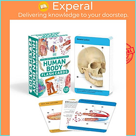 Sách - Our World in Pictures Human Body Flash Cards by DK (UK edition, paperback)