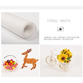 Mua Phông Nền Chụp Ảnh 2x3m  Phông Vải Không Dệt Studio  Phông Chụp Hình Đẹp