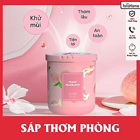 Mua Sáp Thơm Phòng  Sáp Khử Mùi Xe Hơi Có 6 Hương Thơm Dịu Nhẹ Lưu Hương Lâu Giao Hương Ngẫu Nhiên