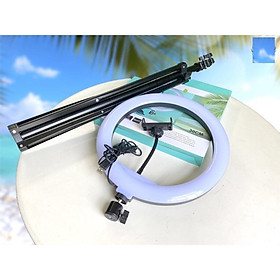 Mua Đèn livestream size 36cm kèm gậy 2m1 hỗ trợ chụp ảnh  make up quay video 3 chế độ sáng