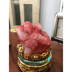 Mua CÓC ĐỎ NGẬM TIỀN HÀNG MỚI TRÊN LƯNG CÕNG THỎ VÀNG DÃY TIỀN ĐẾ XUNG QUANH THỎI VÀNG XOAY ĐẸP LẮM MỆNH HOẢ THỔ Cao 13cm đk 11cm đế xoay