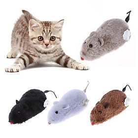 Hình ảnh Đồ chơi trêu mèo con chuột chạy lên dây cót - GENYO cat toy 032 ( màu giao ngẫu nhiên )